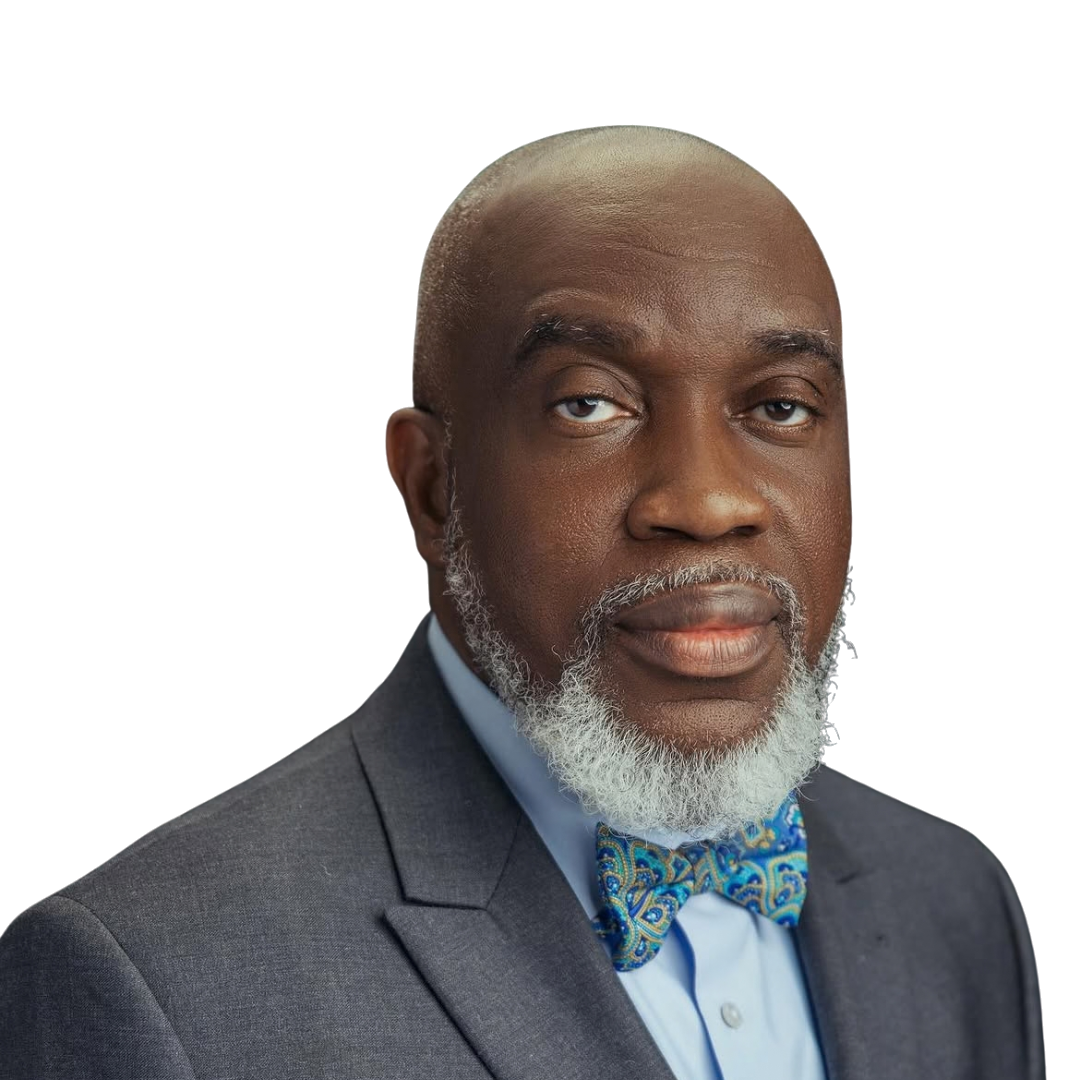 Prof. Chidiebere Onyia